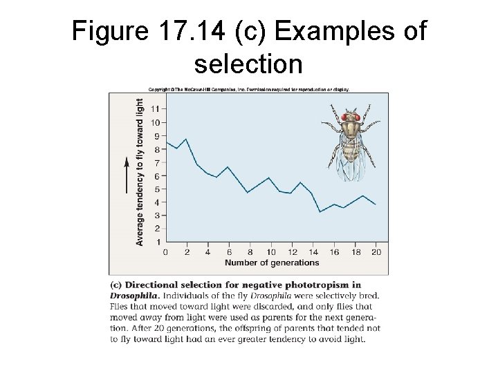 Figure 17. 14 (c) Examples of selection 