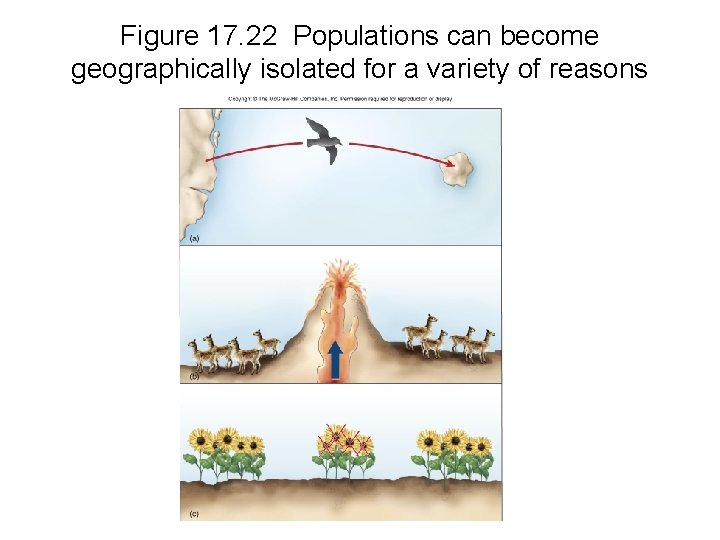 Figure 17. 22 Populations can become geographically isolated for a variety of reasons 