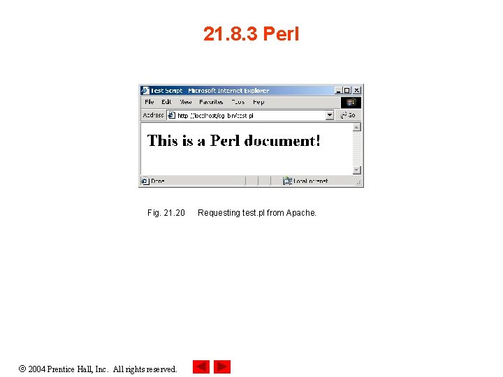 21. 8. 3 Perl Fig. 21. 20 2004 Prentice Hall, Inc. All rights reserved.