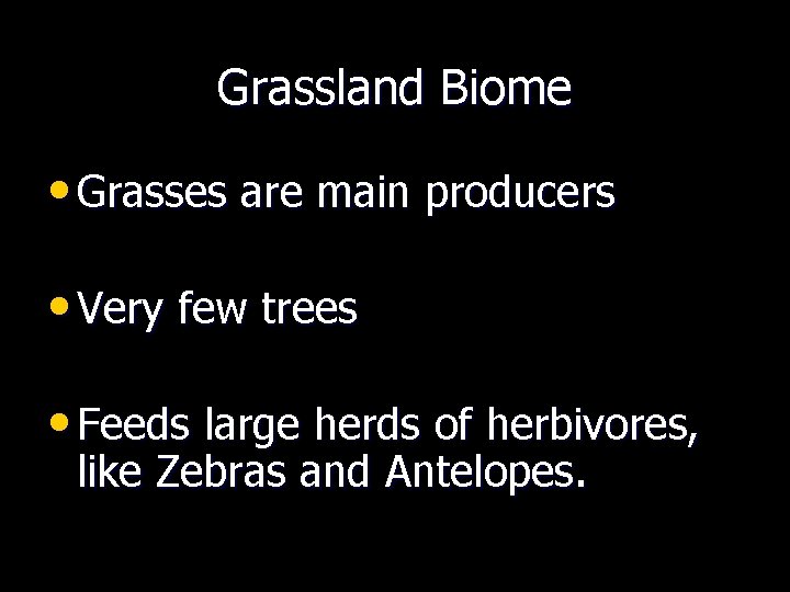 Grassland Biome • Grasses are main producers • Very few trees • Feeds large