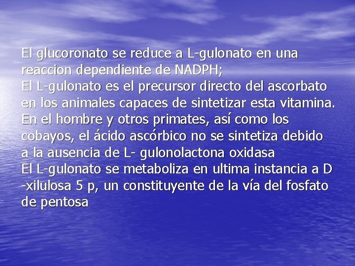 El glucoronato se reduce a L-gulonato en una reaccion dependiente de NADPH; El L-gulonato