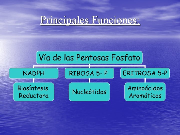 Principales Funciones: 