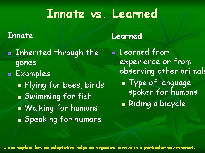 Innate vs. Learned Innate n n Inherited through the genes Examples n Flying for