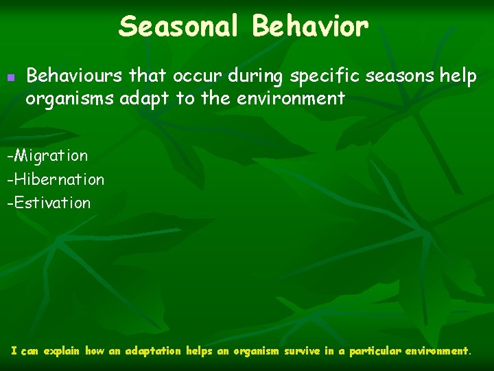 Seasonal Behavior n Behaviours that occur during specific seasons help organisms adapt to the