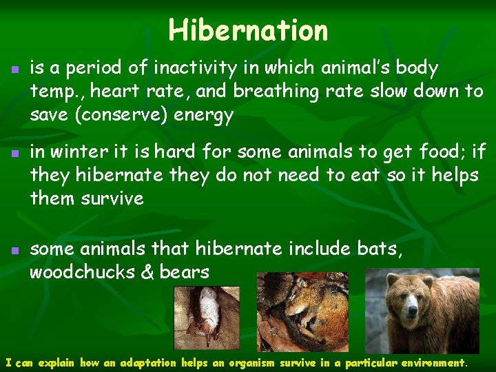 Hibernation n is a period of inactivity in which animal’s body temp. , heart