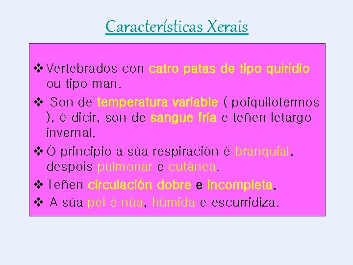 Características Xerais v Vertebrados con catro patas de tipo quiridio ou tipo man. v
