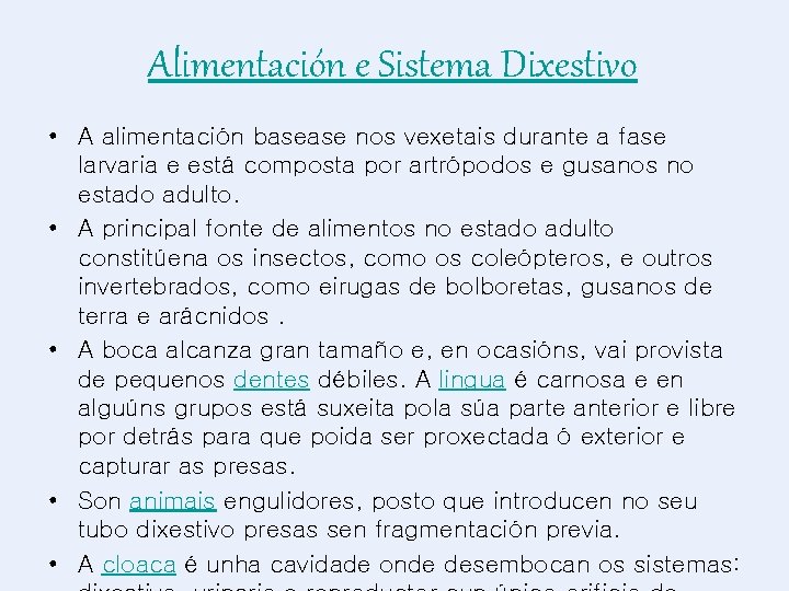 Alimentación e Sistema Dixestivo • A alimentación basease nos vexetais durante a fase larvaria