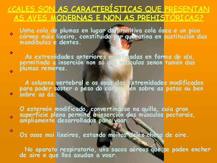 ¿CALES SON AS CARACTERÍSTICAS QUE PRESENTAN AS AVES MODERNAS E NON AS PREHISTÓRICAS? Unha