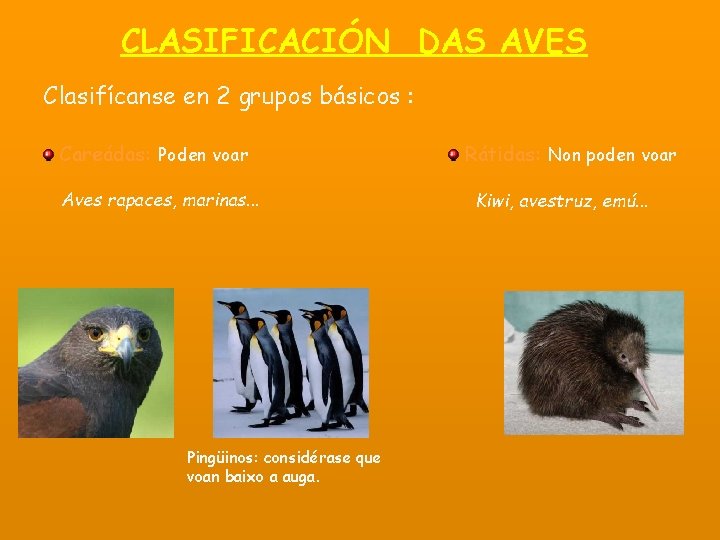 CLASIFICACIÓN DAS AVES Clasifícanse en 2 grupos básicos : Careádas: Poden voar Aves rapaces,