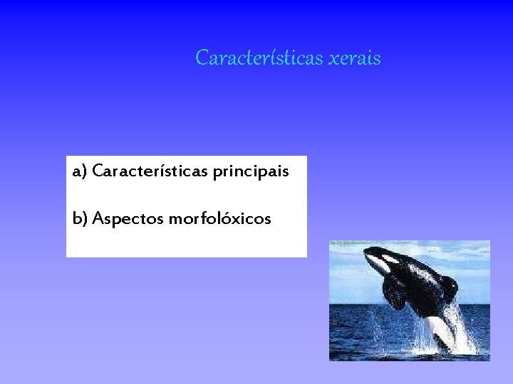 Características xerais a) Características principais b) Aspectos morfolóxicos 