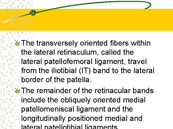 The transversely oriented fibers within the lateral retinaculum, called the lateral patellofemoral ligament, travel
