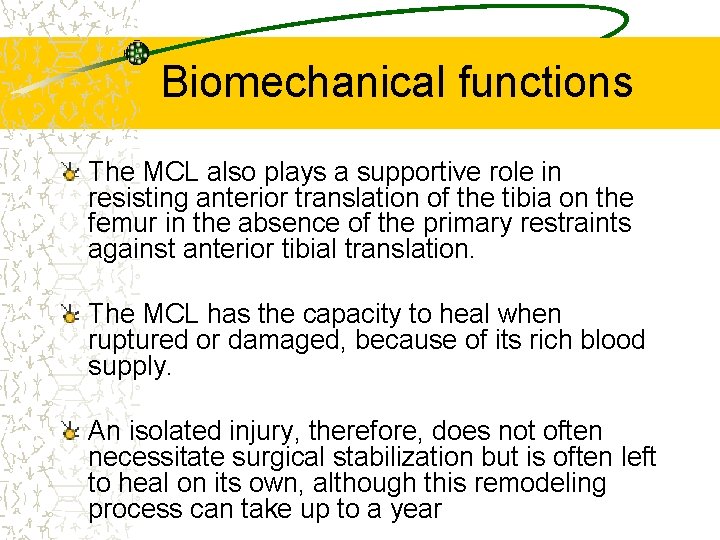 Biomechanical functions The MCL also plays a supportive role in resisting anterior translation of