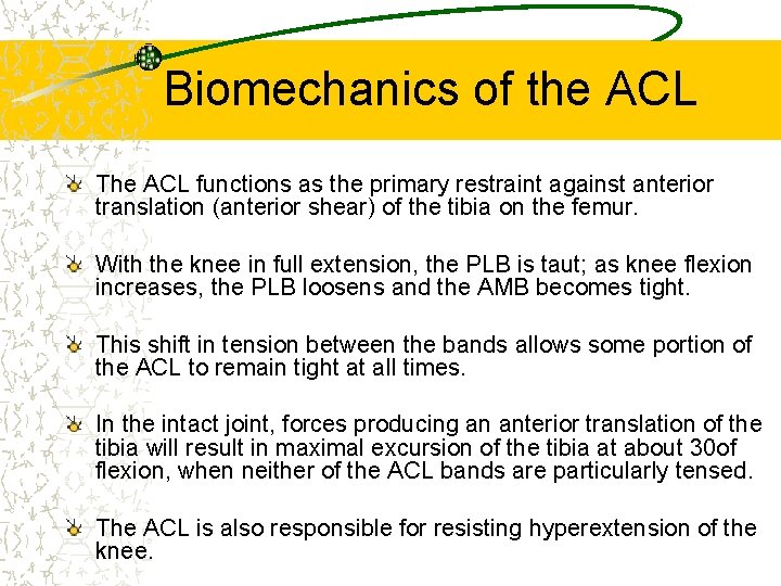 Biomechanics of the ACL The ACL functions as the primary restraint against anterior translation
