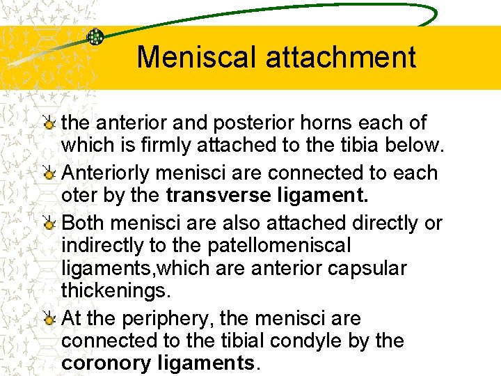 Meniscal attachment the anterior and posterior horns each of which is firmly attached to