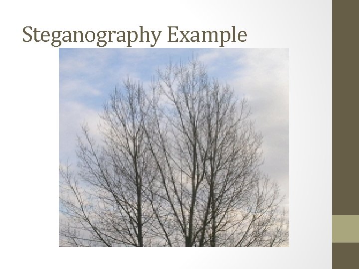 Steganography Example 