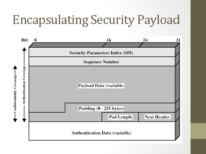 Encapsulating Security Payload 