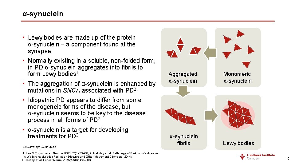 α-synuclein • Lewy bodies are made up of the protein α-synuclein – a component