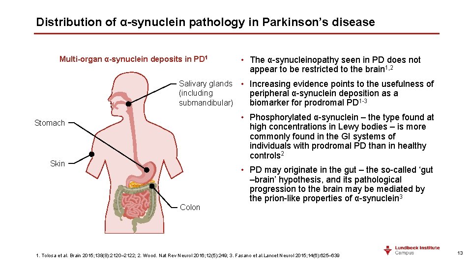 Distribution of α-synuclein pathology in Parkinson’s disease Multi-organ α-synuclein deposits in PD 1 •