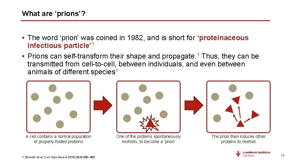 What are ‘prions’? • The word ‘prion’ was coined in 1982, and is short