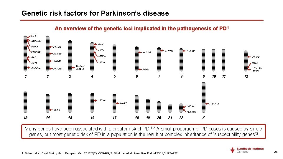Genetic risk factors for Parkinson’s disease An overview of the genetic loci implicated in