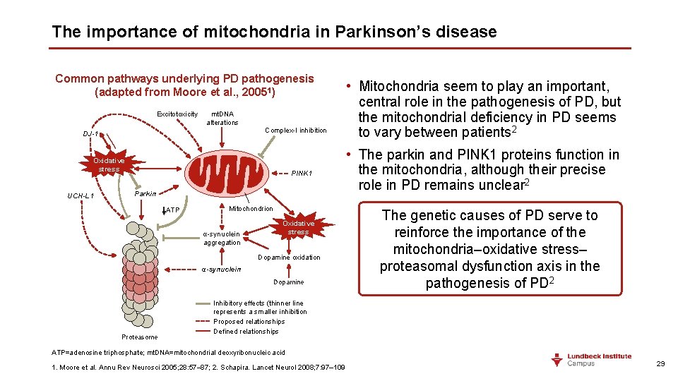 The importance of mitochondria in Parkinson’s disease Common pathways underlying PD pathogenesis (adapted from