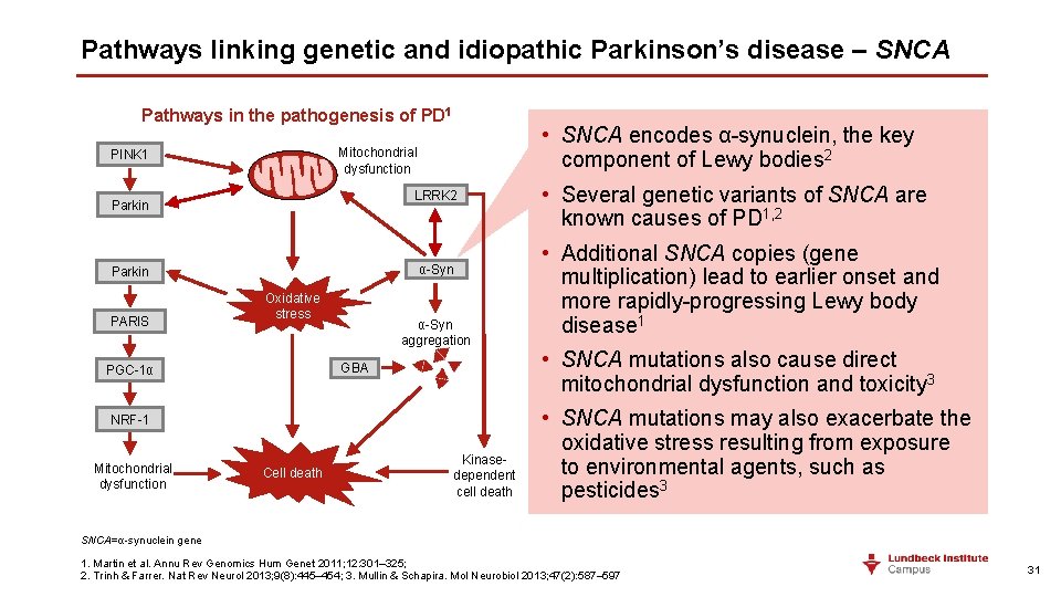 Pathways linking genetic and idiopathic Parkinson’s disease – SNCA Pathways in the pathogenesis of