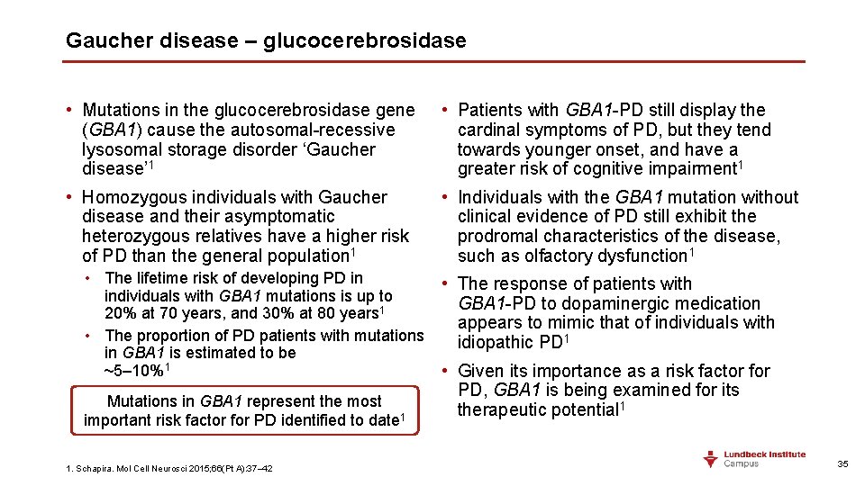 Gaucher disease – glucocerebrosidase • Mutations in the glucocerebrosidase gene (GBA 1) cause the