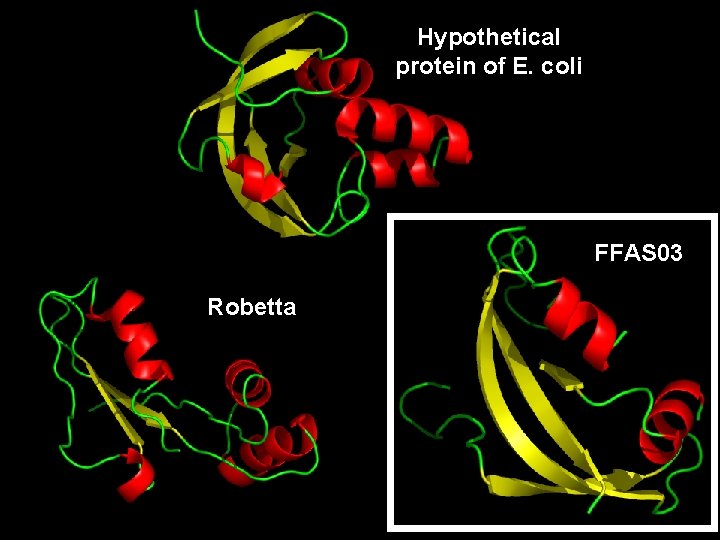 Hypothetical protein of E. coli FFAS 03 Robetta 
