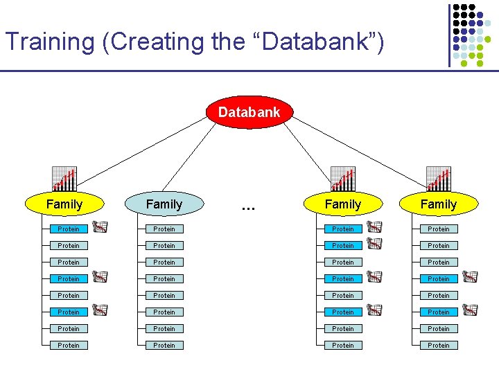 Training (Creating the “Databank”) Databank SCOP Family … Family Protein Protein Protein Protein Protein