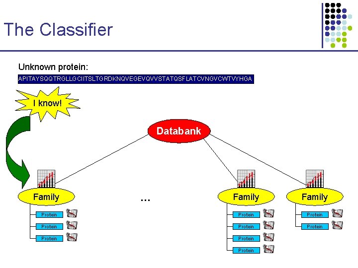The Classifier Unknown protein: APITAYSQQTRGLLGCIITSLTGRDKNQVEGEVQVVSTATQSFLATCVNGVCWTVYHGA I know! Databank Family … Family Protein Protein Protein
