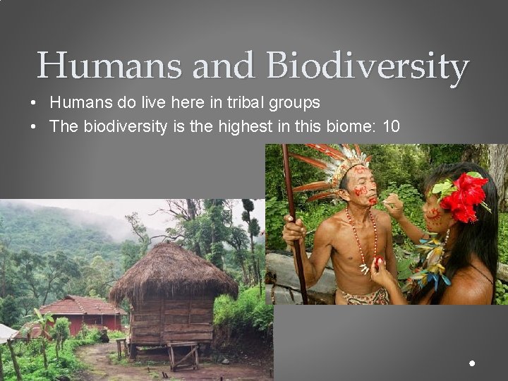 Humans and Biodiversity • Humans do live here in tribal groups • The biodiversity