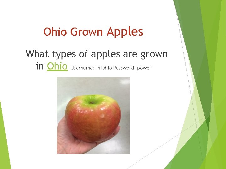 Picture by Author Apples Types of Apples Parts