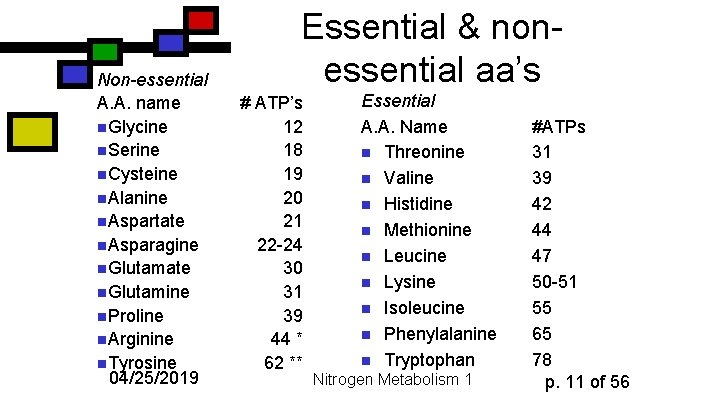 Non-essential A. A. name n. Glycine n. Serine n. Cysteine n. Alanine n. Aspartate
