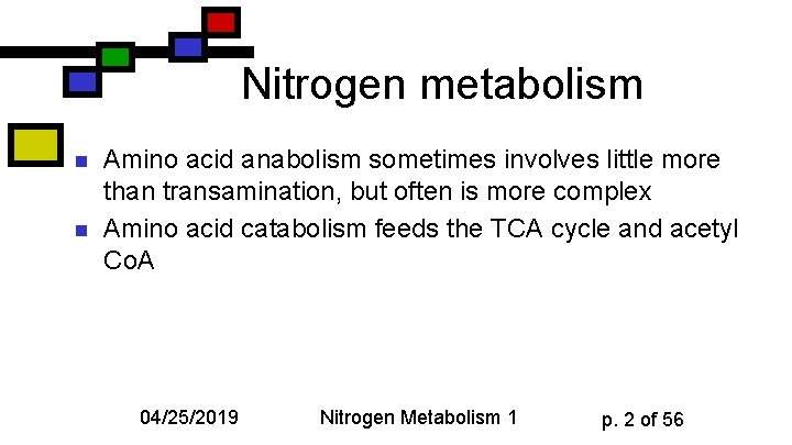Nitrogen metabolism n n Amino acid anabolism sometimes involves little more than transamination, but