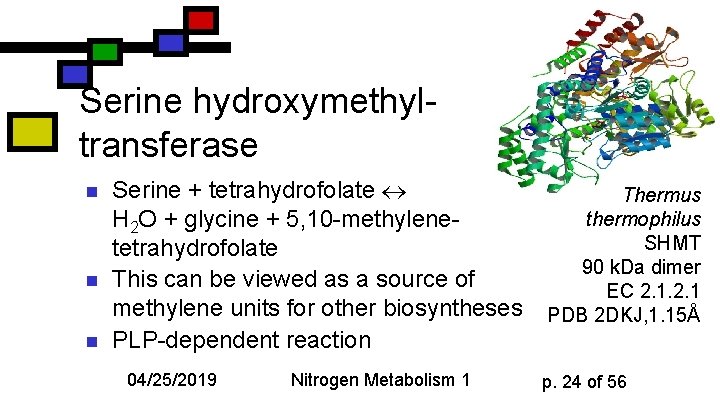 Serine hydroxymethyltransferase n n n Serine + tetrahydrofolate H 2 O + glycine +