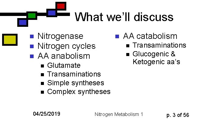 What we’ll discuss n n n Nitrogenase Nitrogen cycles AA anabolism n n Glutamate