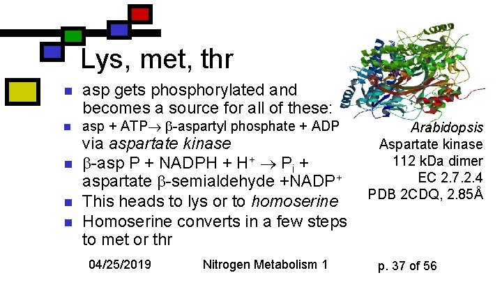 Lys, met, thr n asp gets phosphorylated and becomes a source for all of