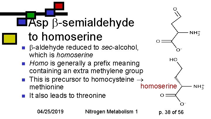 Asp -semialdehyde to homoserine n n -aldehyde reduced to sec-alcohol, which is homoserine Homo