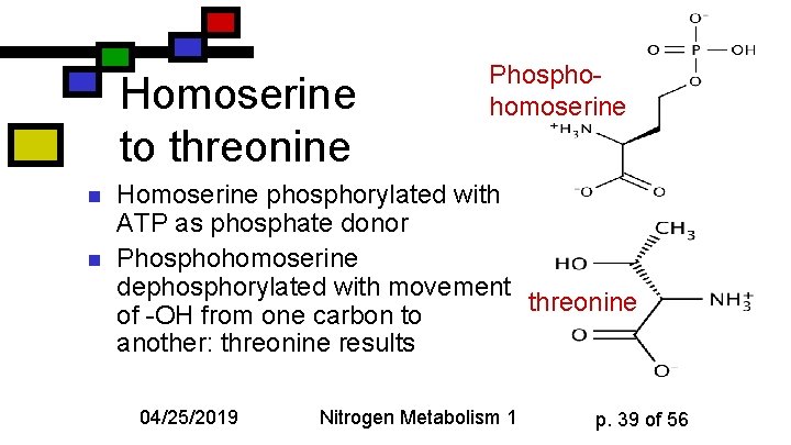 Homoserine to threonine n n Phosphohomoserine Homoserine phosphorylated with ATP as phosphate donor Phosphohomoserine