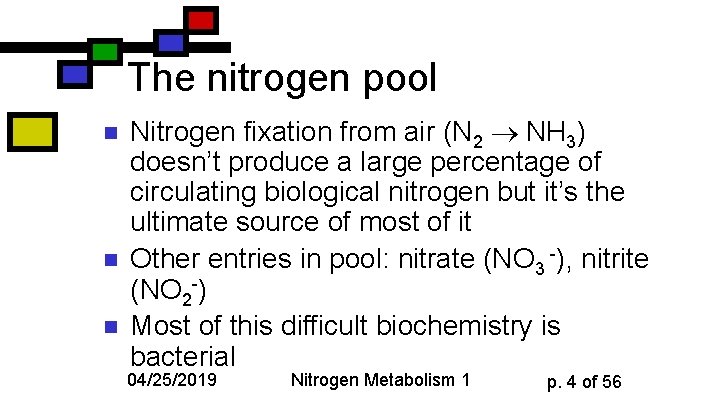 The nitrogen pool n n n Nitrogen fixation from air (N 2 NH 3)