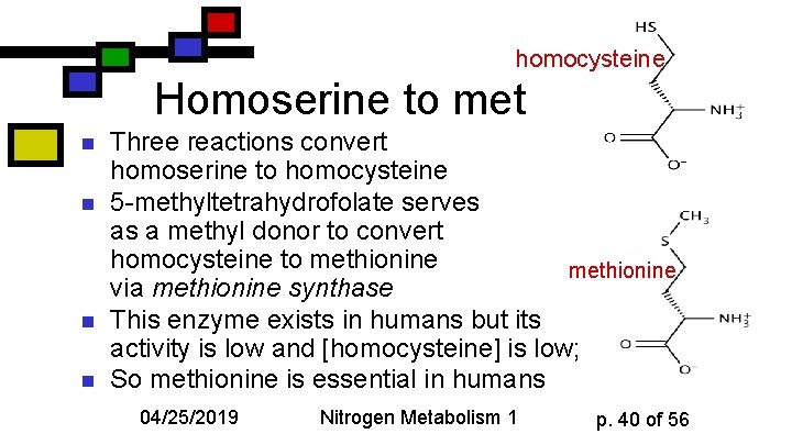 homocysteine Homoserine to met n n Three reactions convert homoserine to homocysteine 5 -methyltetrahydrofolate
