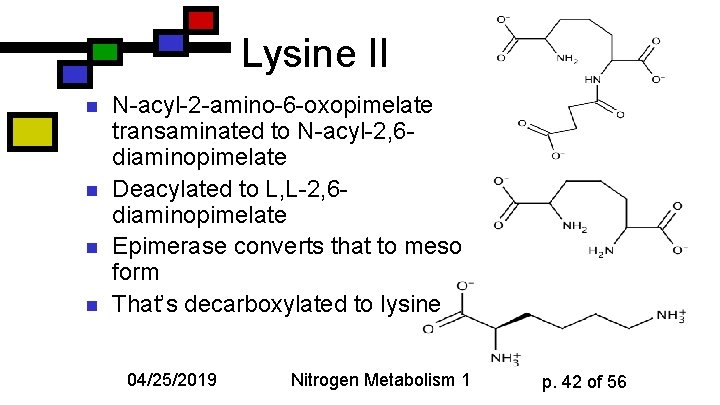Lysine II n n N-acyl-2 -amino-6 -oxopimelate transaminated to N-acyl-2, 6 diaminopimelate Deacylated to