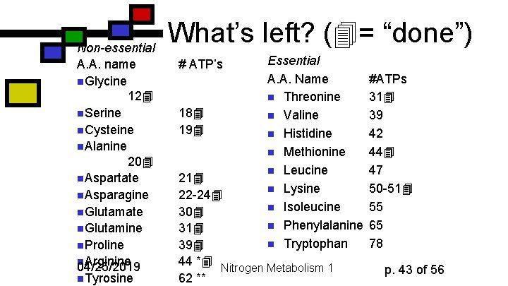 Non-essential A. A. name n. Glycine 12 n. Serine n. Cysteine n. Alanine 20