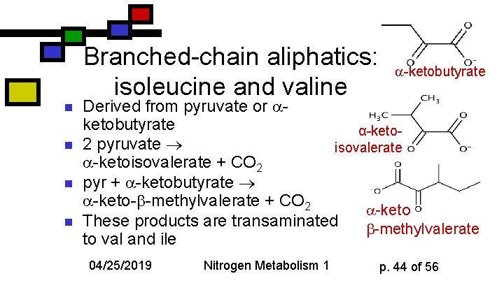 n n Branched-chain aliphatics: isoleucine and valine -ketobutyrate Derived from pyruvate or ketobutyrate α-keto