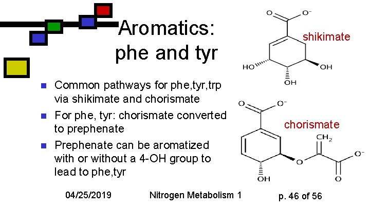 Aromatics: phe and tyr n n n Common pathways for phe, tyr, trp via