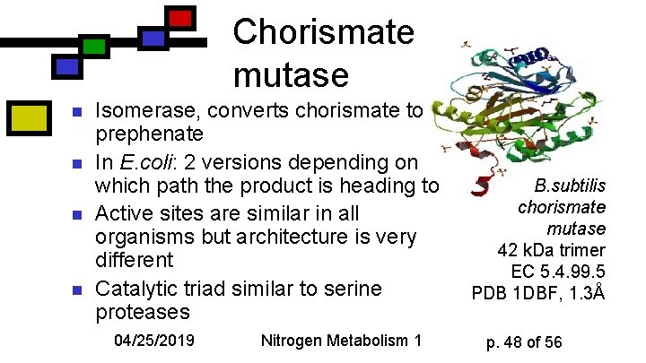 Chorismate mutase n n Isomerase, converts chorismate to prephenate In E. coli: 2 versions