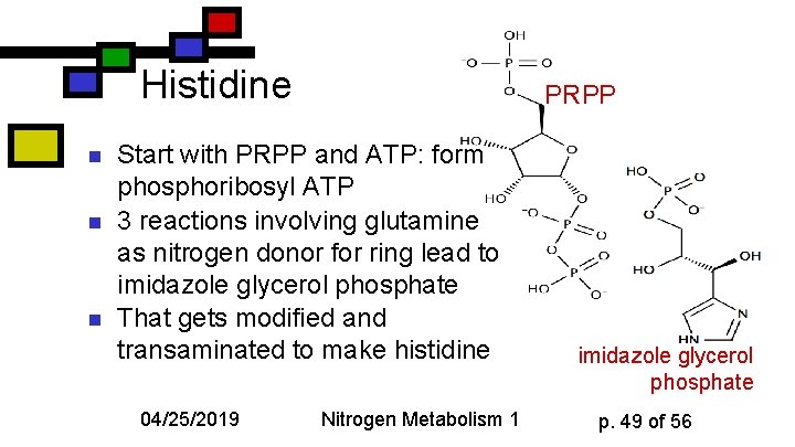 Histidine n n n PRPP Start with PRPP and ATP: form phosphoribosyl ATP 3