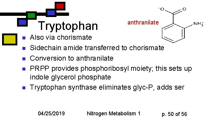 Tryptophan n n anthranilate Also via chorismate Sidechain amide transferred to chorismate Conversion to