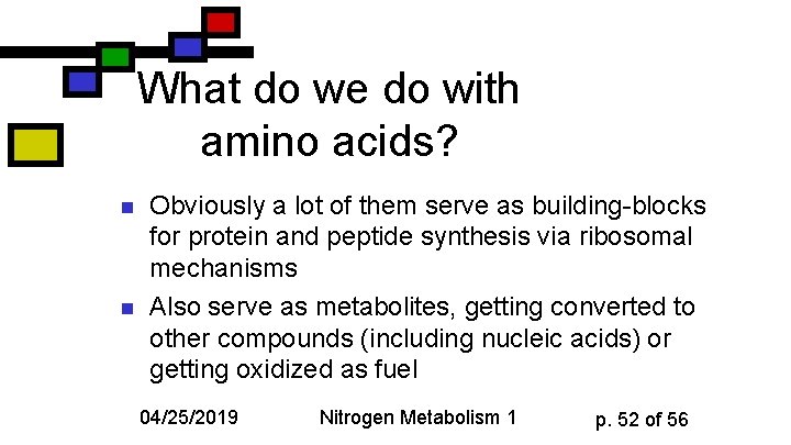 What do we do with amino acids? n n Obviously a lot of them
