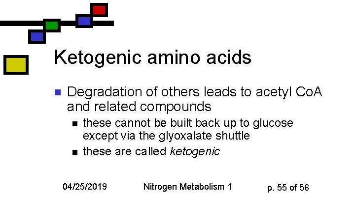 Ketogenic amino acids n Degradation of others leads to acetyl Co. A and related